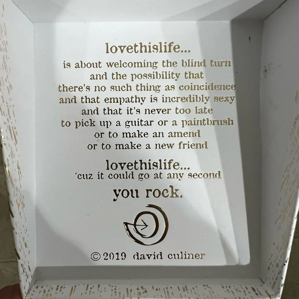 Brand New In Box Angel Bangle Bracelet With Charms Stainless Steel